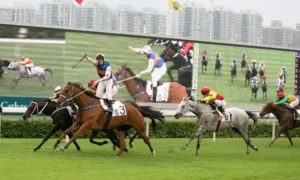 Hướng Dẫn Chi Tiết Tìm Hiểu Cá Cược Đua Ngựa 77Loc Đỉnh Cao Dành Cho Tân Thủ