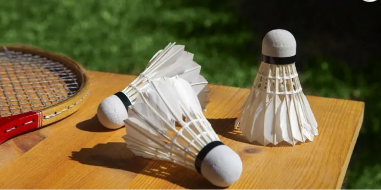 Bật Mí Cách Chơi Cá Cược Cầu Lông Tại 77Loc Đơn Giản Dễ Hiểu Nhất